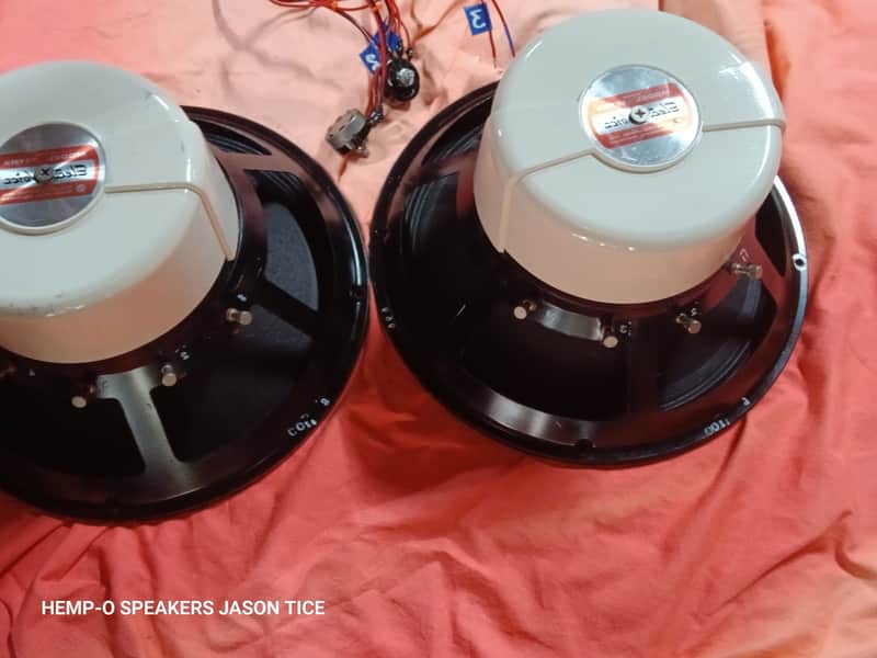 ELECTRO VOICE 15TRX 15" COAXIAL SPEAKERS HI FI COMPLETELY REFABRICATED AT PMR IN OHIO AWESOME OVERHAULS 1965 image 1