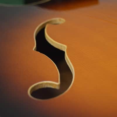 Vintage Danelectro Longhorn Acoustic - ALL Original -  Mint Condition image 14