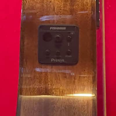 Washburn acoustic electric guitar image 5
