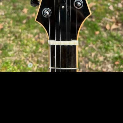 Artinger Semi Hollow 2021 image 6