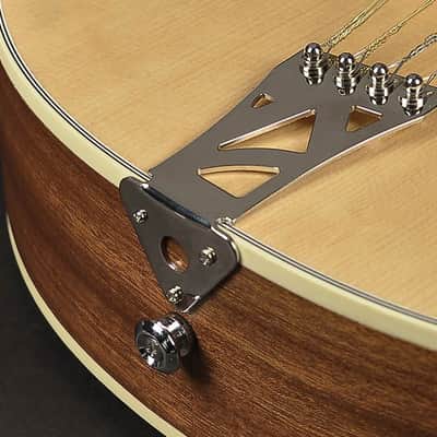 Richwood Master Series RIBZ-40 Irish Bouzouki image 6