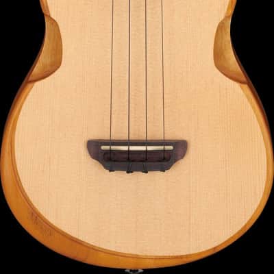 Ibanez AUT10-OPN AU Tenor Ukulele - Open Pore Natural + Gig Bag image 12