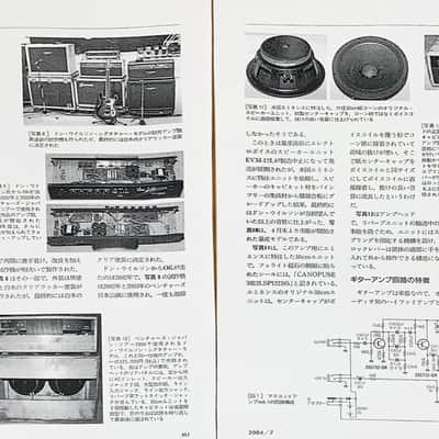 USED by Don Wilson himself on Japan tour. Signature amp with case for sub. image 7