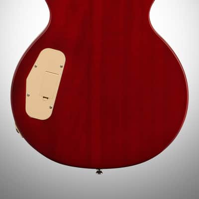 Epiphone Slash Appetite for Destruction Les Paul Electric Guitar (with Gig Bag) image 6