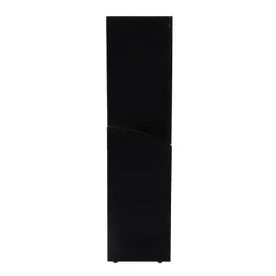Wersi VOCALIS 120 - Keyboard Amp image 2