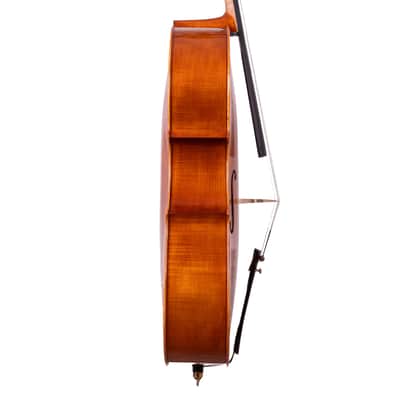 Testore Cello 4/4 from One Piece Back – Hand-Made in Romania 2025 #100 image 7