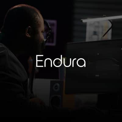 Endura image 2