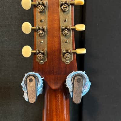 Iris Guitars OG 2021 - Old Growth Woods(1 3/4" nut) image 11