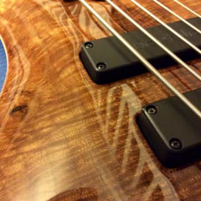 Roscoe LG3005 Custom - Walnut Burl (2014) image 5