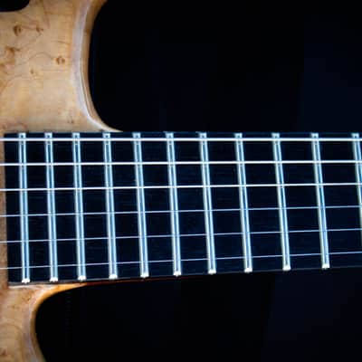 Ekrem Özkarpat Custom Made Double Neck Fretted/Fretless Headless Electric Guitar--Worldwide Shipping image 5