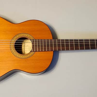 Dauphin DS35 1993 - Made in Spain - Excellent! Molded Hard Case Natural image 7