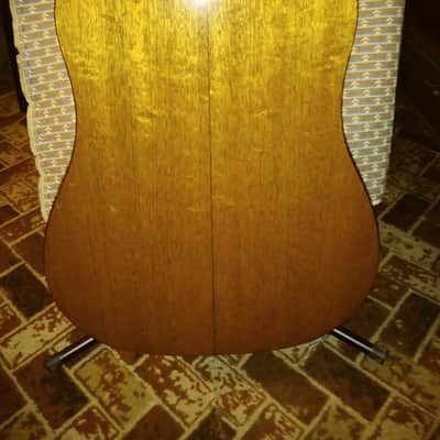 Taylor 510 LTD 2002 image 8