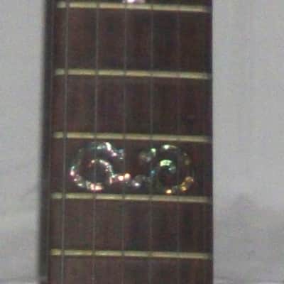 The Joker.THE Guitar! image 22