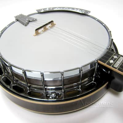 Gold Tone 5-String Light Weight Banjo w/ Hard Case - OB-250LW image 1