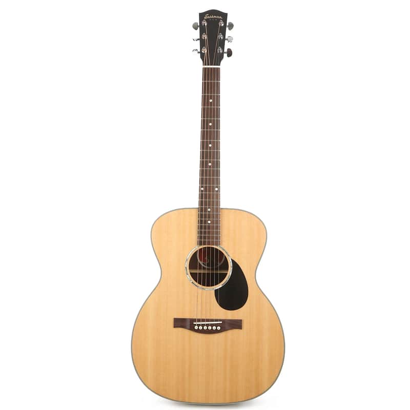 Eastman PCH2-OM image 1