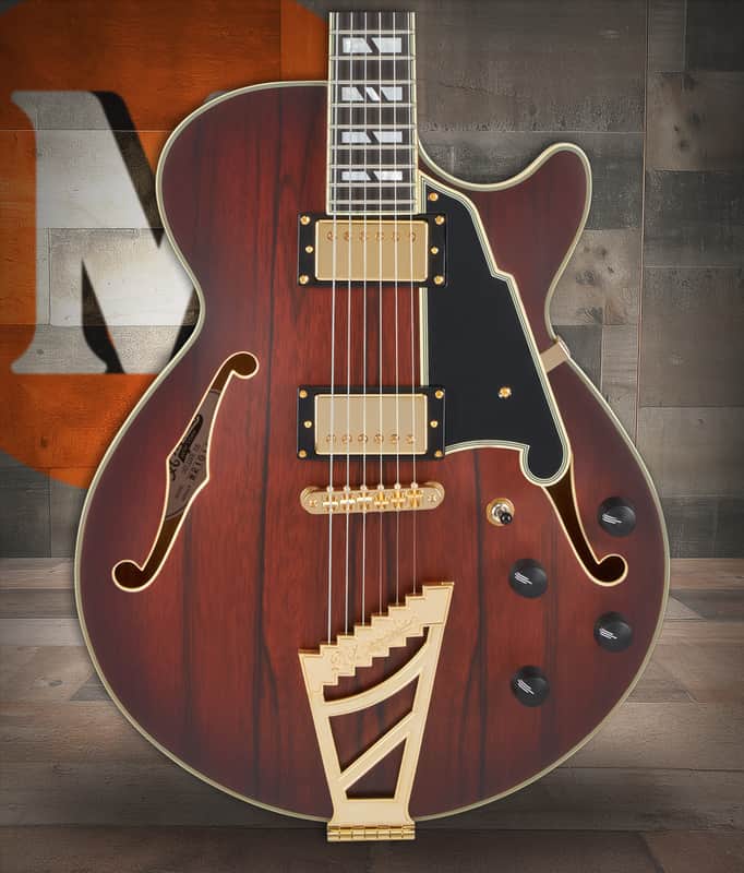 D'Angelico Deluxe SS - Satin Brown Burst (DADSSSBBGT) image 1