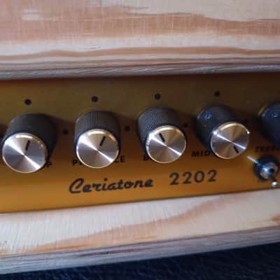Ceriatone 2202 Hot rodded JCM style Amp image 2