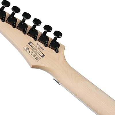 Ibanez RG450QMB Electric Guitar - Transparent Gray Burst image 9