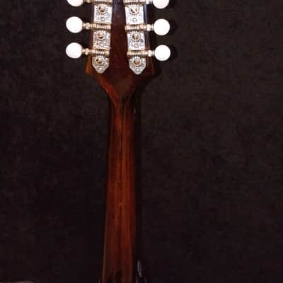 Eastman El Rey Electric Mandolin ER-M image 4