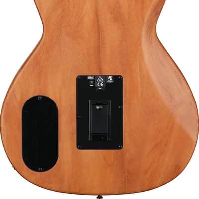 Fender Highway Parlor Thinline Acoustic-Electric Guitar (with Gig Bag), All-Mahogany imagen 4