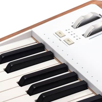 Arturia AstroLab 61-Key Stage Keyboard, White image 4