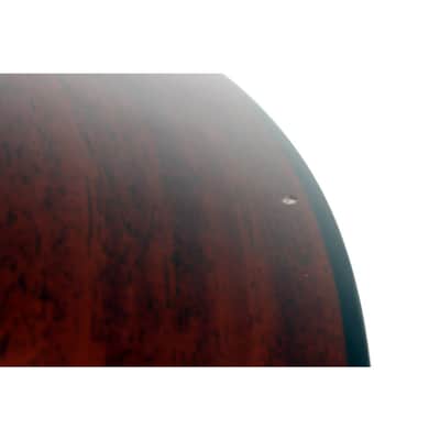 Taylor 324ce Baritone-6 Limited-Edition Grand Auditorium Acoustic-Electric Guitar Regular Shaded Edge Burst image 6