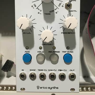Erica Synths DIY Delay Eurorack image 1