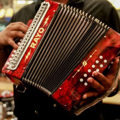 RAYO by Hohner Accordion GCF (SOL) - Free Leather Gig-Bag! image 10