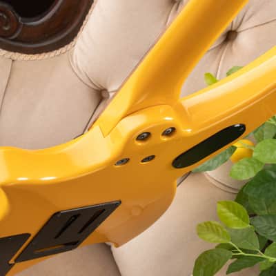 Fernandes GM-85 2000 - Yellow image 19
