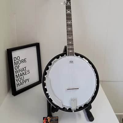 Washburn B10-A - Americana Series 5 String Resonator Banjo w/ Floral-Style Inlays - B-10A image 1