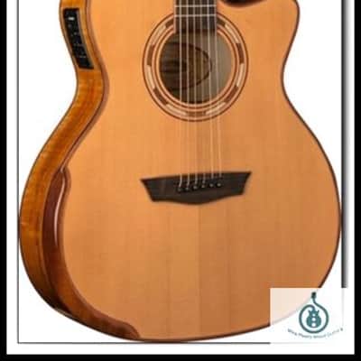 Washburn Comfort Series WCG66SCE-O, Solid Cedar Top, Spalted Maple Back, Sides, New, Free Shipping image 2