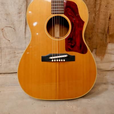 Gibson B-25 1965 - Natural image 2