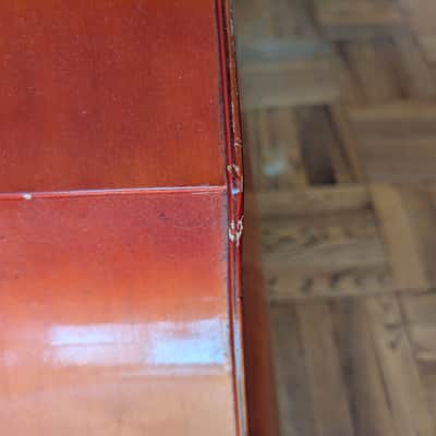 Engelhardt C1 2000 - Blonde image 12