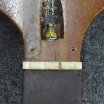 Gibson Thunderbird II 1964 image 15