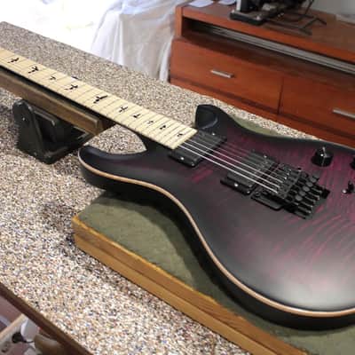 PRS Dustie Waring Signature CE 24 Floyd - Waring Burst image 6