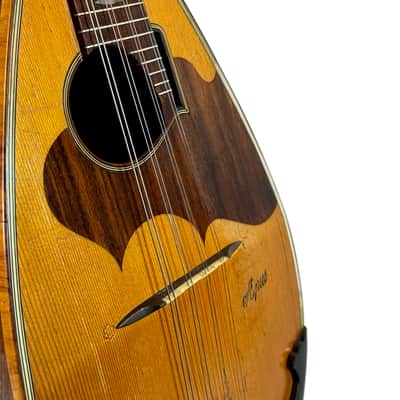 G. Kasermann Concert Mandolin (Apus Mark) 1920’s image 5