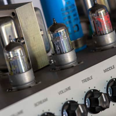 Larry Amplification Dino 939 Dino 939 2015 image 6