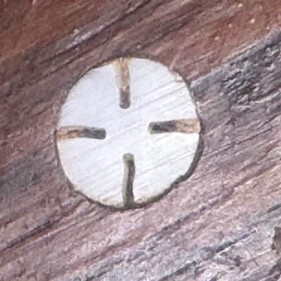 Gretsch Tenor Banjo (1920s-50s) image 22
