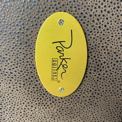 Parker Acoustic Guitar Hard Case in Brown image 17
