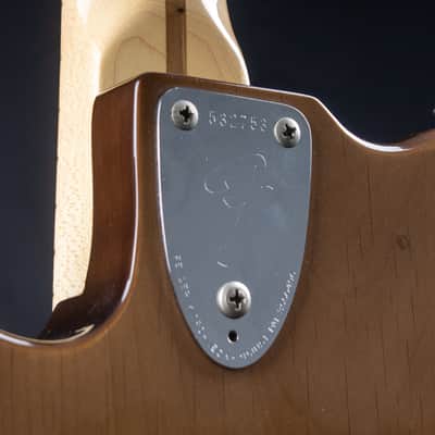 1974 Fender Deluxe Telecaster in Walnut image 12