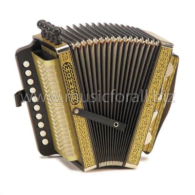 NEW Hohner HA114 Button Accordion Diatonic Key C Cajun Quebecois