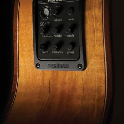 Washburn WCG66SCE Comfort Deluxe Series Solid Cedar Top Spalted 6-String Acoustic-Electric Guitar image 7