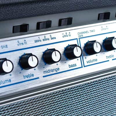Ampeg Heritage 50th Anniversary SVT image 5