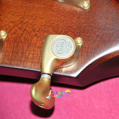 Taylor Builder's Edition 614ce WHB 2019 - Present - Wild Honey Burst image 11
