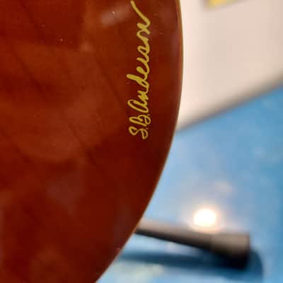 Estaban Rock On Collection 2009 Limited Edition Acoustic/Electric Amber Ice Guitar Extremely Rare image 4