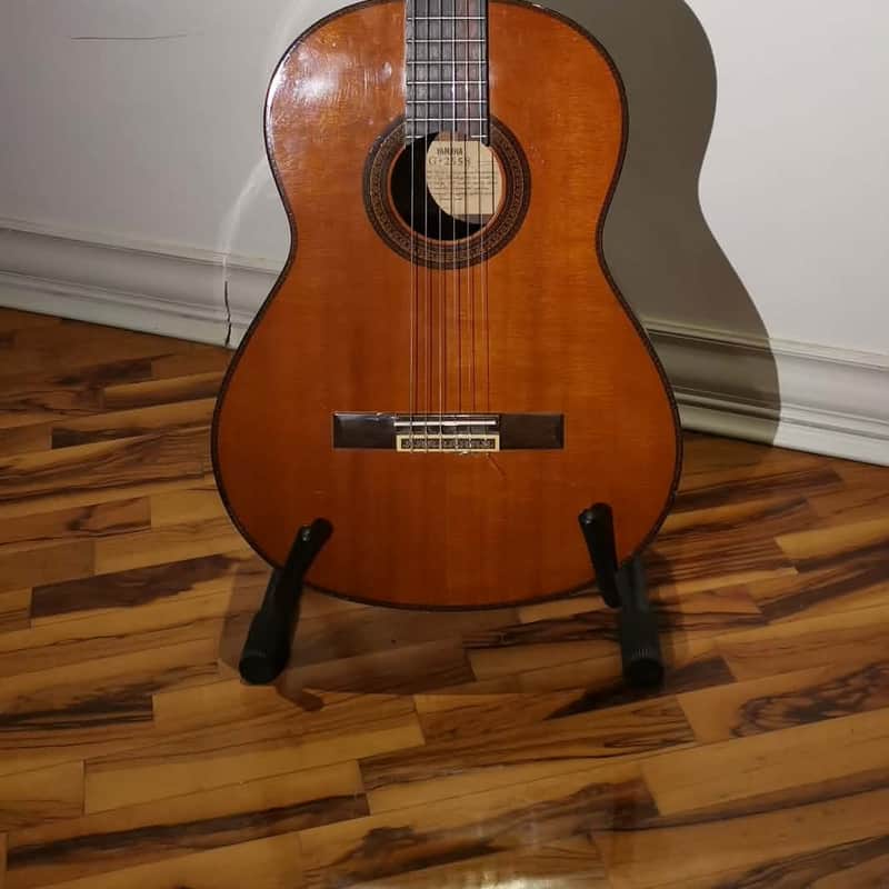 1977-1981 Yamaha G255-S Wood