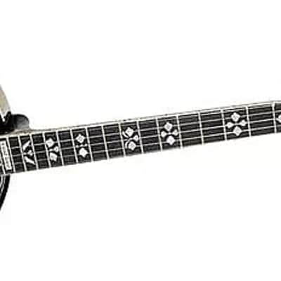 Gold Tone OB-250 Professional Orange Blossom 5-String Bluegrass Banjo w/Hard Case image 4