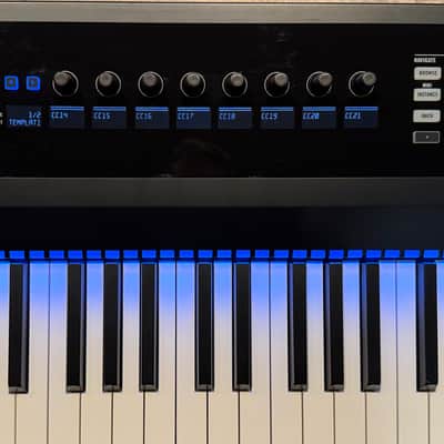 Native Instruments Komplete Kontrol S88 Keyboard W/ included Roland DP-10 Pedal image 5