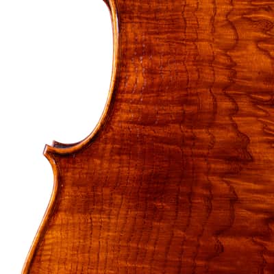 Goffriller Cello 4/4 from One Piece Back - Hand-Made in Romania 2025 #78 image 7