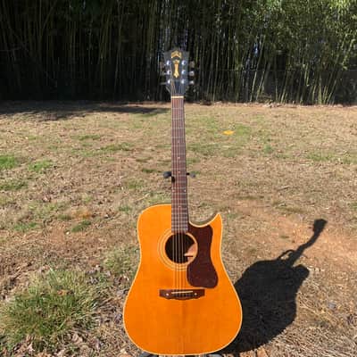 Guild D-40c-NAT 1970s Natural Rare 1st Dreadnaught Cutaway image 2